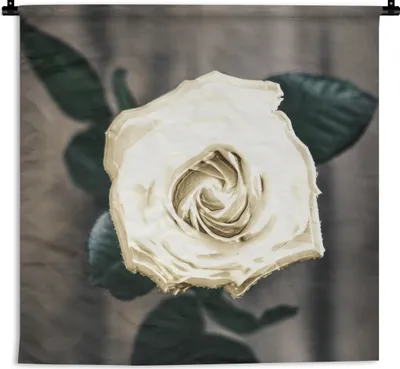 Produktbild von MuchoWow® Wandteppich Wandbehang Rose - Blumen - Blätter 150x150 cm Tapisserie Dekoration Wandtuch - Wohnaccessoires - Modernes