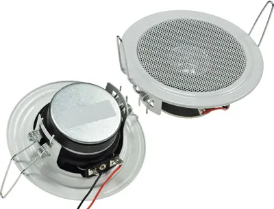 Zdjęcie produktu dla Wbudowany głośnik "CTE-11w", biały
