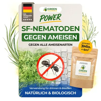 Produktbild von SF Nematoden gegen Ameisen- 3 Mio. für 6m² -Mittel gegen Ameisen im Haus & Garten, Effektive Ameisen Bekämpfung, die Biologische Ameisenfalle