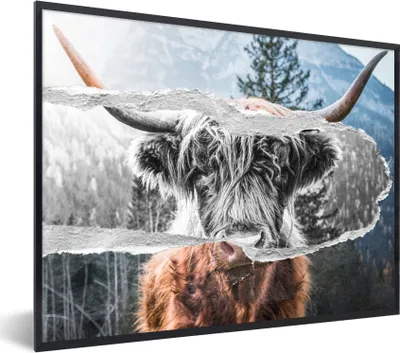 Produktbild von MuchoWow® Gerahmtes Poster Schottischer Highlander - Kuh - Schwarz - Weiß 80x60 cm - Poster mit Schwarzem Bilderrahmen Wandposter Rahmen Foto Bilder - Schwarzem - Mit Gestell
