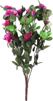 Productafbeelding van Strauss van 5 takken met kleine, paarse rozenbloemen