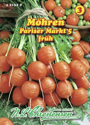 Produktbild von Speisemöhre Pariser Markt 5 | Möhrensamen von N.L. Chrestensen