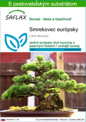 Obrázok produktu pre SAFLAX - smrekovec európsky - Larix decidua - 75 Semená - S pestovateľským substrátom bez klíčkov