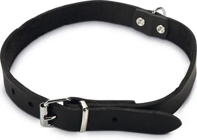 Immagine prodotto di Beeztees - Collare per cani - pelle - nero - 43-52 cm x 20 mm