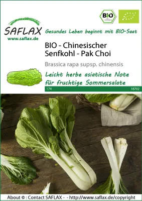 Artikelbild 1 von 'Chinesischer Senfkohl Pak Choi' aus der Kategorie Pak Choisamen