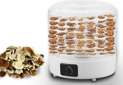 Image de Séchoir pour champignons légumes fruits viande LTC puissance réglable fond antidérapant 5 compartiments lavable au lave-vaisselle LXSR003