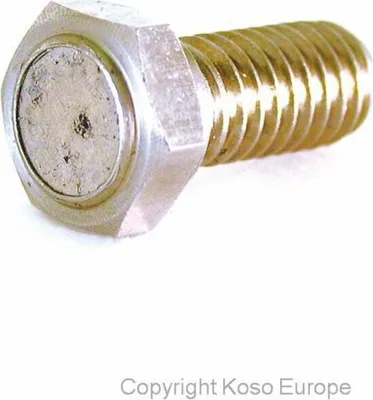 Image de KOSO Magnetschraube für Bremsscheibe (M8 x P1,25 x 29L)