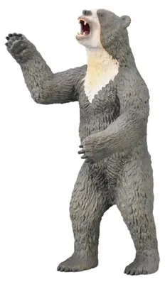 Produktbild von Collecta Deluxe Arctodus Bear Figur   Kinder  One Size