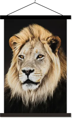 Produktbild von MuchoWow® Textilposter Löwen - Wild - Licht 40x60 cm mit schwarzem Rahmen - Wanddekorationen