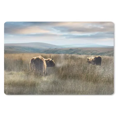 Produktbild von MuchoWow® Mauspad Mousepad Schottische Highlander - Nebel - Gras 27x18 cm - Mousepads - Maus Mat - Pad - Mausunterlage - Büroartikel - Desk Matten