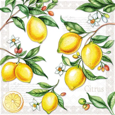 Produktbild von Cocktail Servietten 25 x 25 cm – 3-lagig – 20 Servietten pro Packung