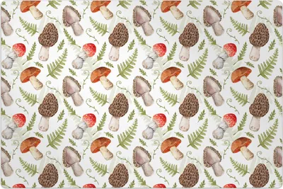 Produktbild von Küchenmatte 80x120 cm Vinylmatte Bodenmatte Dekoration - Champignons und Blätter Wald
