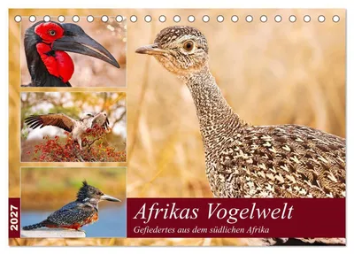 Produktbild von Afrikas Vogelwelt 2027 (Tischkalender 2027 DIN A5 quer), CALVENDO Monatskalender