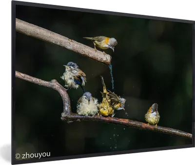 Produktbild von MuchoWow® MuchoWow® Gerahmtes Poster Vogel - Zweig - Wasser 60x40 cm - Poster mit zchwarzem Bilderrahmen - Printing - Wanddeko Schlafzimmer