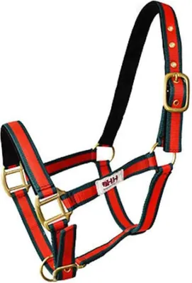 Immagine prodotto di Hispano Hipica doppio nylon senza moschettone Halfter Rot Cob Rot Cob