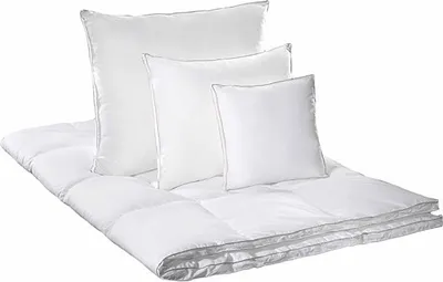 Obrázek produktu pro přikrývka prachové peří SILVER Silver 140x220 2000g 43/33/58