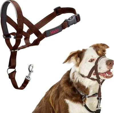 Immagine prodotto di Collare, misura 2, rosso - Impedisce al cane di tirare il guinzaglio, Facilmente regolabile, leggero, con nasello imbottito, collare antitraino per cani di taglia media