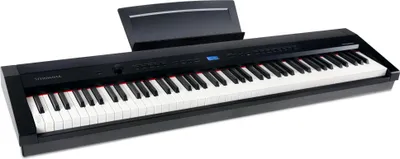 Obrázok produktu pre Digitálne klavírne piano Steinmayer P-60, 88 klávesov, čierne