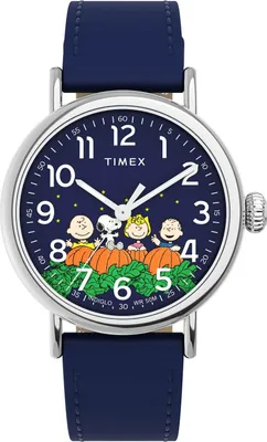 Zdjęcie produktu dla Zegarek Timex TW2W72700 niebieski