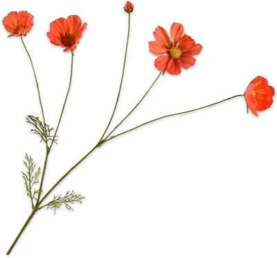 Image de Kunstblume : fleur de soie, couleur orange, 92 cm, décoration pour la maison