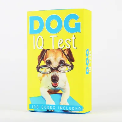 Produktbild von Gift Republic: Intelligenztest für Hunde