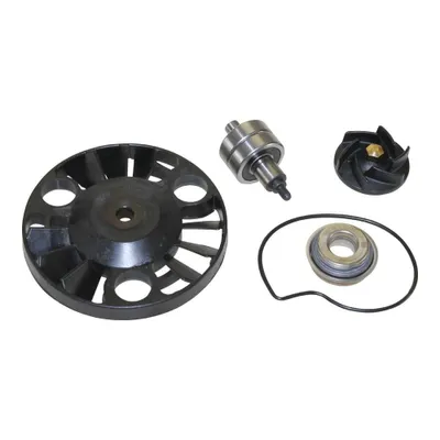 Productafbeelding van Reparatieset waterpomp voor Aprilia Atlantic en Gilera Nexus 125, bouwjaar 200