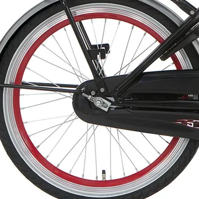 Zdjęcie produktu dla Tylne koło Alpina 20 Remove J19SG Red Zink SPK
