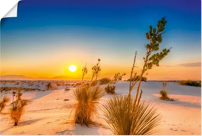 Produktbild von ARTland Poster Sonnenuntergang White Sands Größe: 90x60 cm