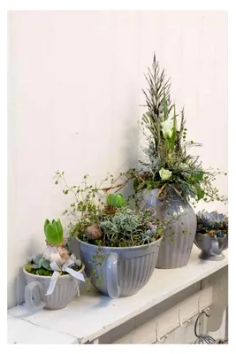 Produktbild von Rührschüssel Mynte in French Grey