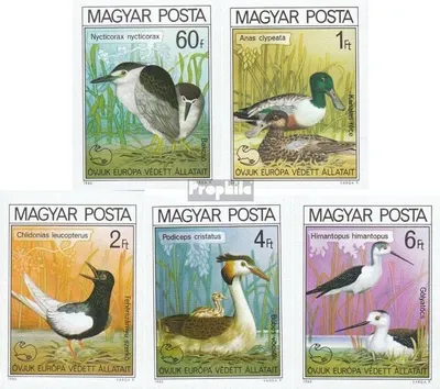 Produktbild von Briefmarken Ungarn 1980 Mi 3451B-3456B (kompl.Ausg.) postfrisch Europäische Naturschutzkampagne