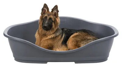Image de Lit en plastique Sleeper