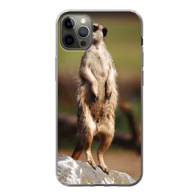 Produktbild von MuchoWow® Handyhülle Schutzhülle Hülle für iPhone 12 Pro Max Erdmännchen - Tier - Spiel Silikon Softcase Handy Hülle - Hartschale
