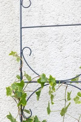 Produktbild von TrendLine Spalier Metall 150 cm dunkelgrau