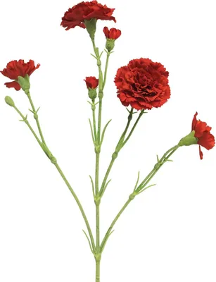 Produktbild von artplants.de Kunstblume Nelke AHONG, rot, 60 cm - Künstlicher Blumenzweig