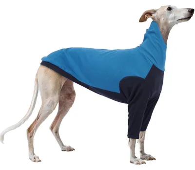 Immagine prodotto di Cappotto per levrieri, colore blu, taglia S