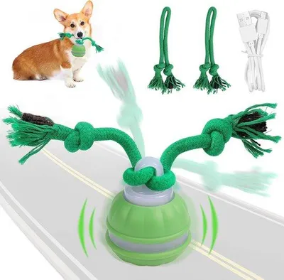 Productafbeelding van Interactief honden speelgoed bal met kauwkoorden – USB oplaadbare zelfrollende bal voor kleine honden, ideaal tegen verveling