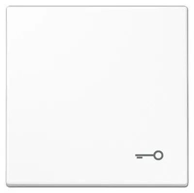 Immagine prodotto di JUNG Interruttore a bilanciere 1t LS990 aws glz "chiave/porta"
