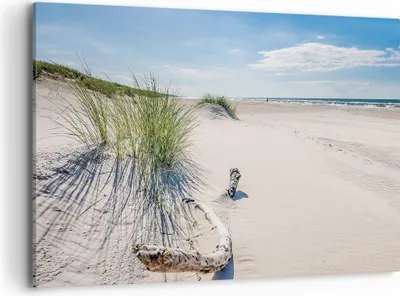 Produktbild von Bild auf Leinwand - Leinwandbild - Einteilig - Mrzezyno Strand Meer - 120x80cm - Wand Bild - Wanddeko - Wandbilder - Leinwanddruck - Bilder - Wanddekoration - Leinwand bilder - AA120x80-4281