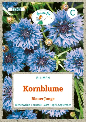 Produktbild von Grüne Fee - Kornblume Blauer Junge Samen - 13365