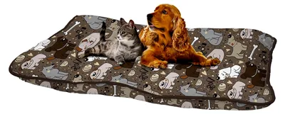 Produktbild von Gepolstertes Hundekissen Maxy, Braun, 60 x 100 cm
