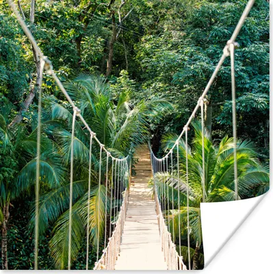 Produktbild von MuchoWow® Poster Dschungel - Palme - Brücke - Natur - Pflanzen 75x75 cm - Wand Dekoration