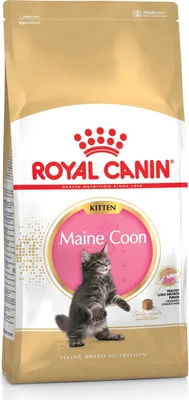 Produktbild von Royal Canin Feline Maine Coon Kitten - 4 kg