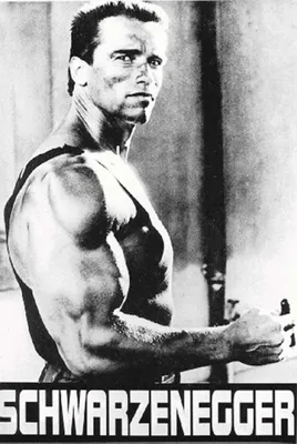 Produktbild von Arnold Schwarzenegger Poster + Ü-Poster