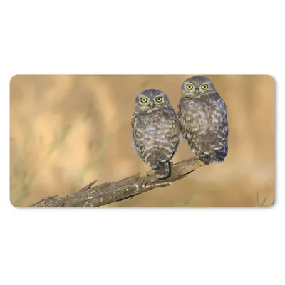 Produktbild von MuchoWow® Mauspad Mousepad Eulenpaar 60x30 cm - Mousepads - Maus Mat - Pad - Mausunterlage - Nachhaltig