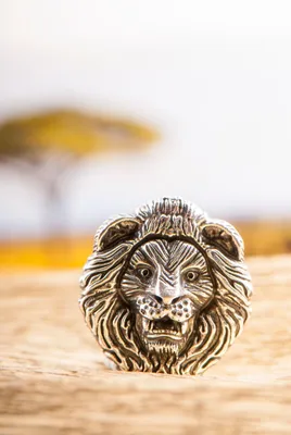 Produktbild von Lion, Anhänger