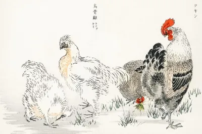 Produktbild von Plakat 60x40cm Hausgeflügel, Japanischer Kashu Vintage für das Wohnzimmer