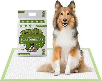 Produktbild von Famanu Trainingspads Extra große superabsorberende umweltfreundliche Hundetrainingspads - 60x90cm, 40 Stück