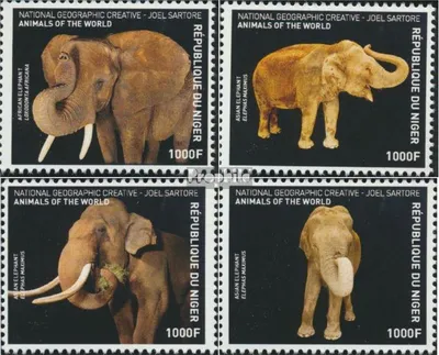 Produktbild von Briefmarken Niger 2016 Mi 4717-4720 (kompl. Ausg.) postfrisch Elefanten