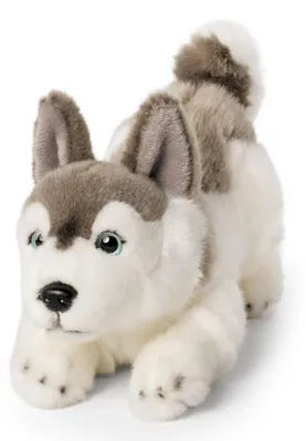 Immagine prodotto di Living Nature Husky - Peluche per cani e cuccioli in morbido peluche