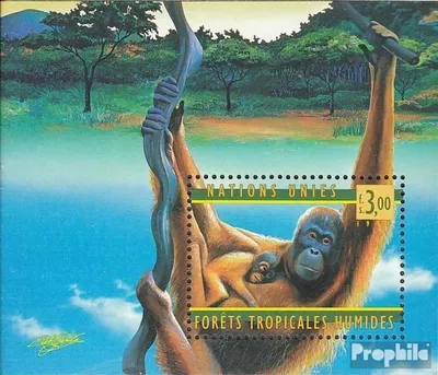 Produktbild von Briefmarken UNO - Genf 1998 Mi Block10 (kompl.Ausg.) gestempelt UNO-Hauptquartier